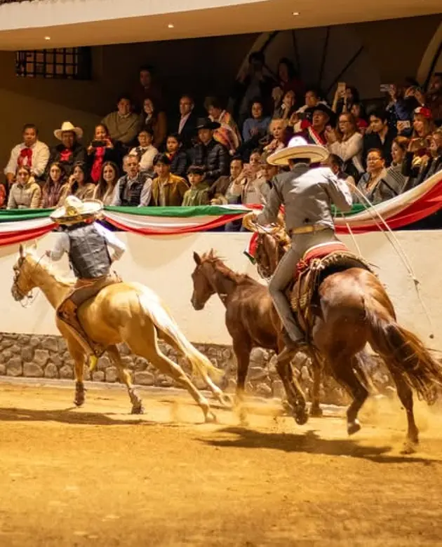 Experiencia Hotel Hacienda El Salitre, Hotel en Querétaro