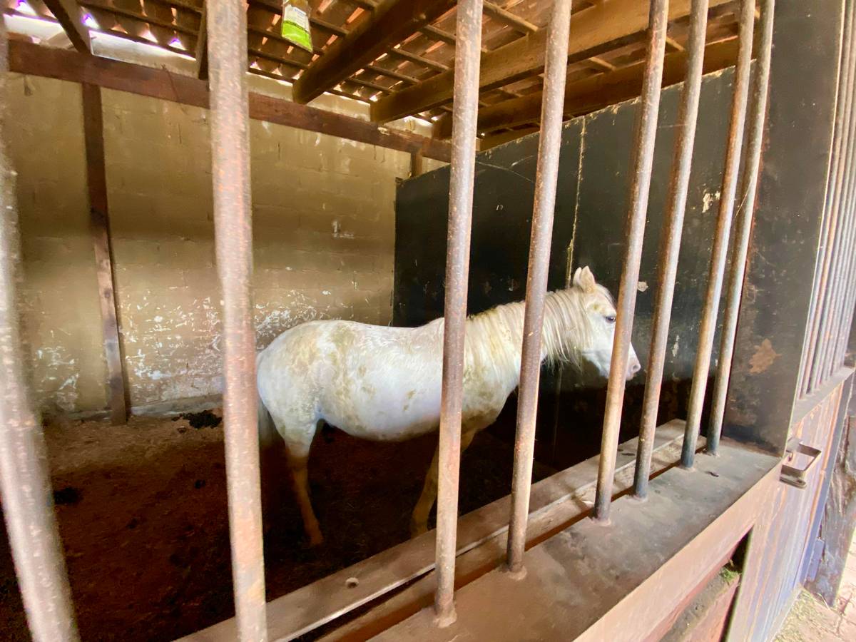 Establo, Hotel Hacienda El Salitre, eventos en Hotel Querétaro