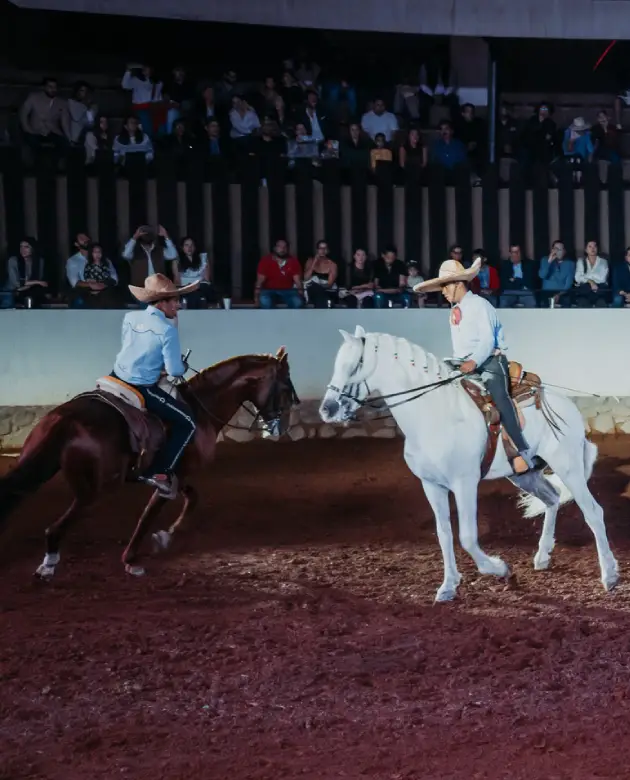 Espectáculos Hacienda El Salitre Hotel & Spa, Hotel en Querétaro